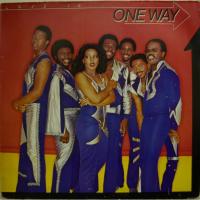 One Way I Did Not Mean To Break Your Heart (LP)