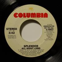 Splendor All Night Long (7")