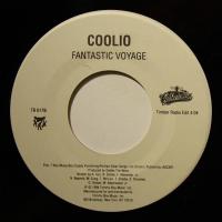 Coolio Fantastic Voyage (7")