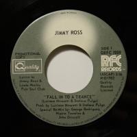 Jimmy Ross Fall Into A Trance (7")