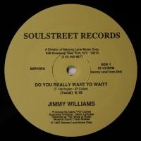 Jimmy Williams Do You Really Want To Wait (12")