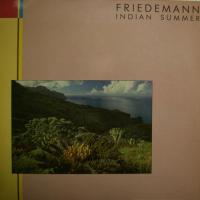 Friedemann - Indian Summer (LP)