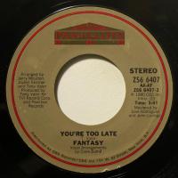 Fantasy You're Too Late (7")