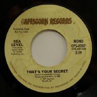 Sea Level That's Your Secret (7")