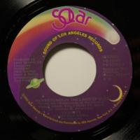 Dynasty - Adventures In The Land Of Music (7")